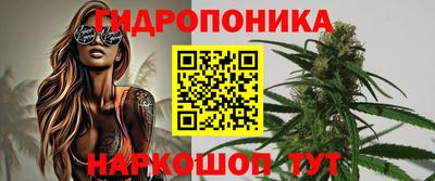гидра Краснокаменск