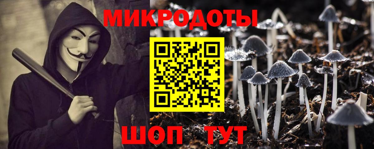 Энгельс  Псилоцибиновые грибы GOLDEN TEACHER  Вход с VPN 